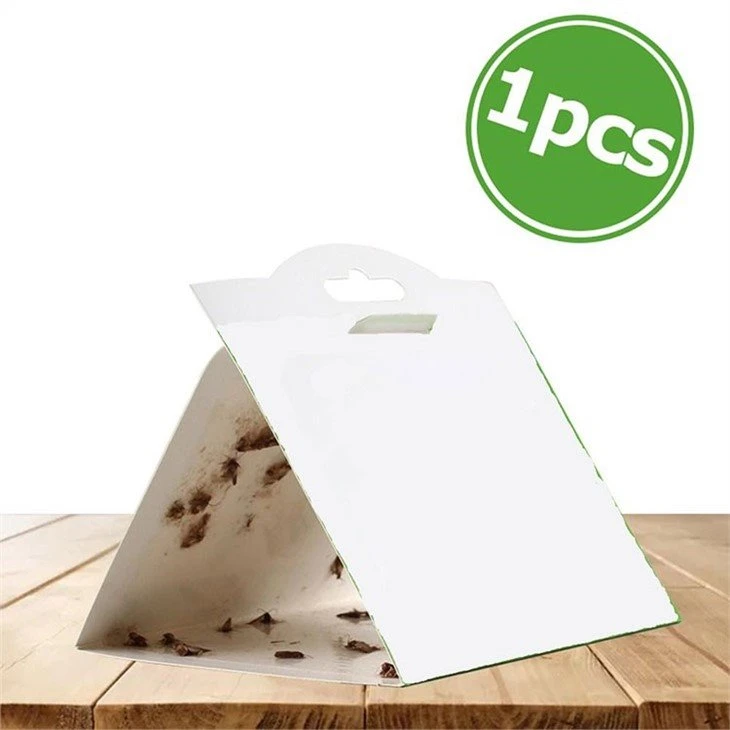 white moth sticky paper